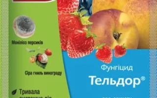 Тельдор 50 WG