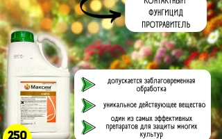 Контактный фунгицид Максим, МС в бутылке 250 мл на фоне растений - Террасил 250