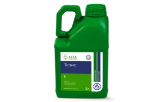 Зелена канистра з етикеткою «Тезис» від бренду ALFA