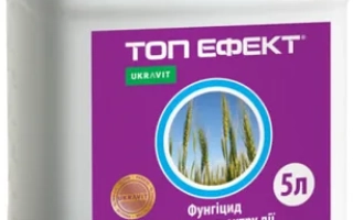 Белая канистра с фиолетовой этикеткой, на которой написано «ТОП ЕФЕКТ» и изображены растения.