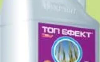 Топ Эффект