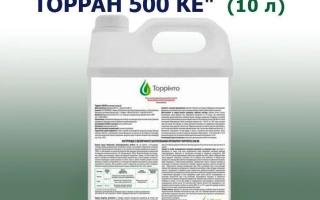 Торринто 500 КЕ