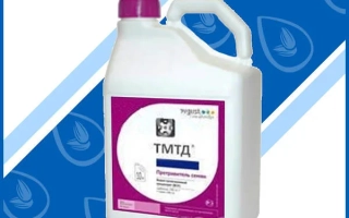 Траст т.к.с.