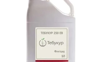 Требукер 250