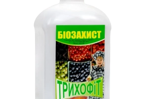 Бутылка Трихофит с зелёной этикеткой и изображением ягод