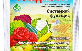 Пакет с фунгицидом Фундазол для защиты растений от грибковых заболеваний - Трудоголик