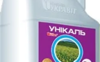 Уникаль