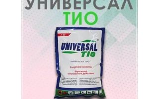 Универсал Тио в.д.г.