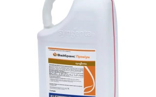 Вайбранс Премиум 90 FS