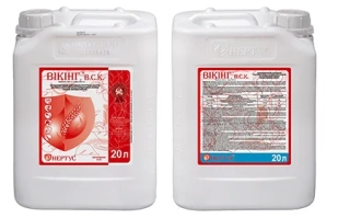 Вікінг в.с.к.