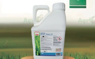 Винцит Форте