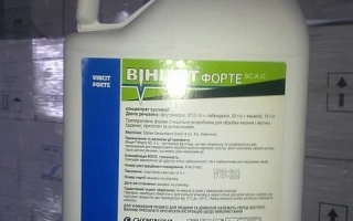 Винцит Форте SС