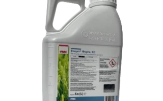 Винцит Форте SС