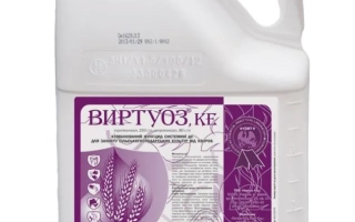 Белая канистра с этикеткой Виртуоз для фунгицида