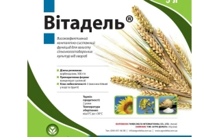 Витадель