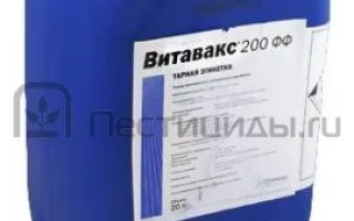 Витавакс 200 ФФ
