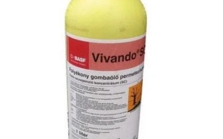 Вівандо к.с.