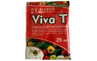 Віват в.с.к.