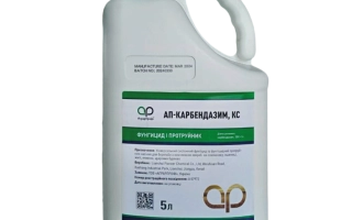 Забрало, КС