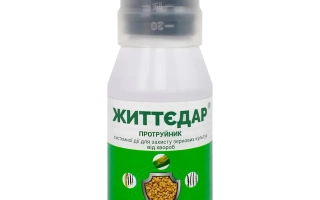 Життєдар, КС