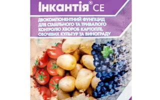 Зорвек Инкантия