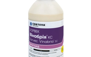 Зорвек Вінабрія