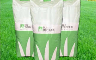 Смесь «Для солнечных площадок»