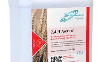 2,4 Д актив