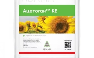 Ацетоган 900