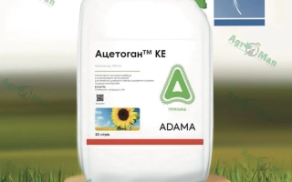 Ацетоган КЕ