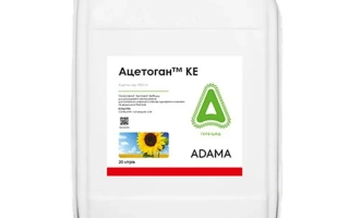 Ацетоган КЕ