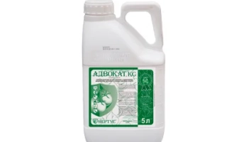 Адвокат, КС, гербицид