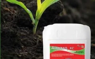 Айдахо, КС (тербутилазин, 500 г