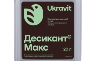 Accol Max (Accol Max)