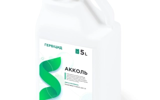 Аколлет (Acollet)