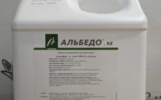 Альбедо (Albedo)