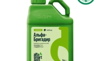 Альфа-Бригадир к.е.