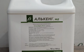 Алькени (Alkeny)