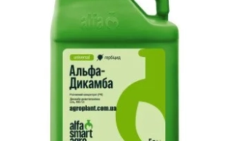 Aldaka 480, SL (Aldaka 480, SL)