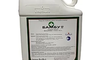 Алгебра (Algebra)