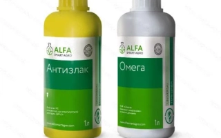 АНТИЗЛАК К.Е.