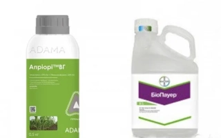 Априори, ВГ, гербицид