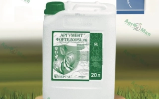 Аргумент Форте