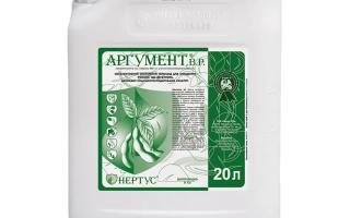 Аргумент В.Р.