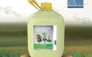 Астагард 500 SС