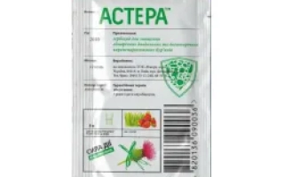 Астанал 274 ЕС