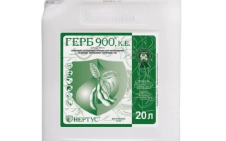 Астанес 900, КЕ