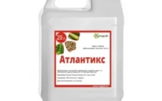 Атлантикс, КЕ