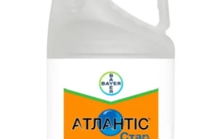 Атлантис Стар 21,15 WG