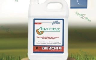 Авангард к.е.